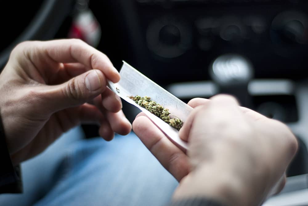 Photo of Stash of Marijuana